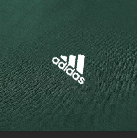 ADIDAS TERREX COTTON T-SHIRT MS8781A