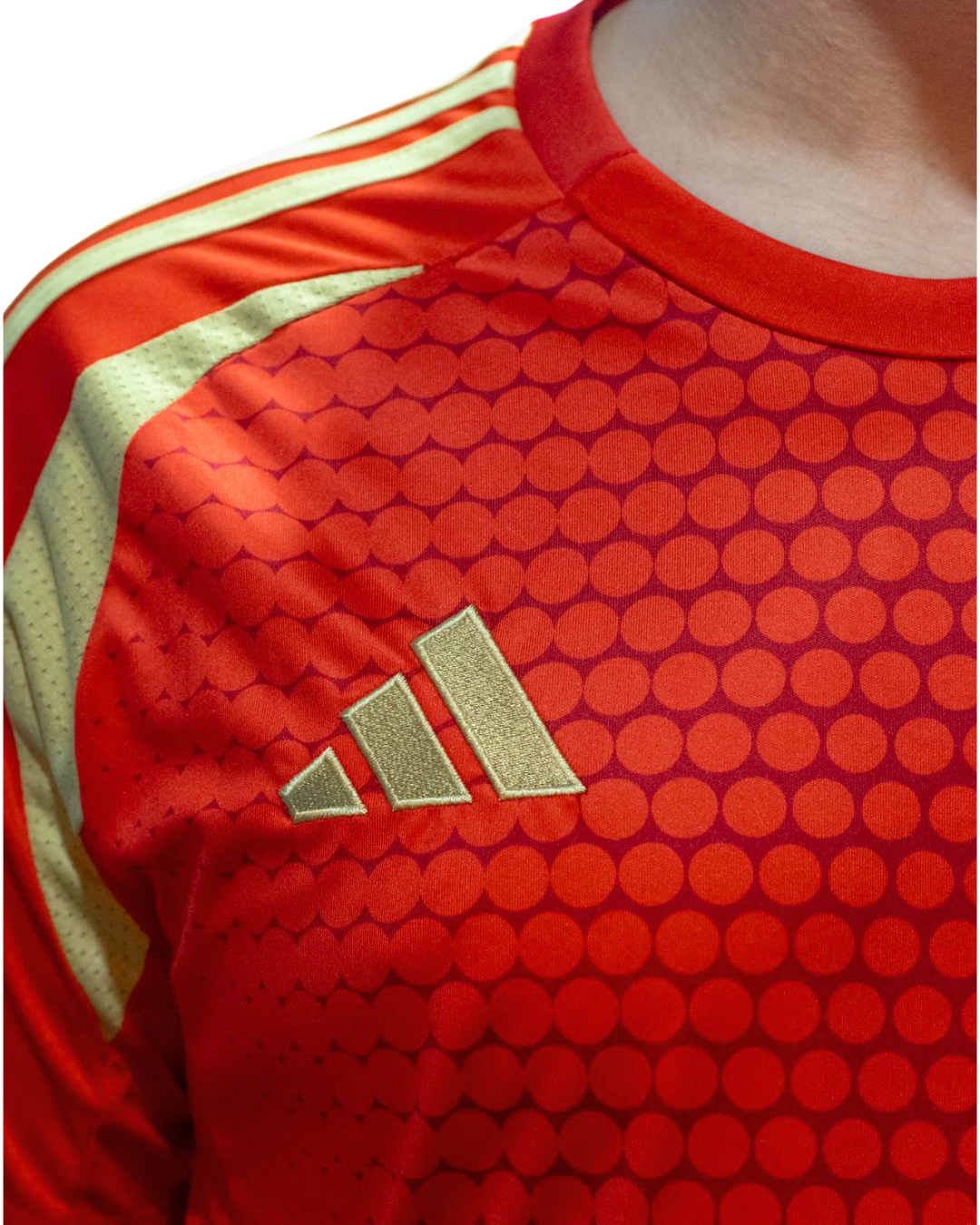 ALAHLY HOME JERSEY 24/25 MATCH EDITION